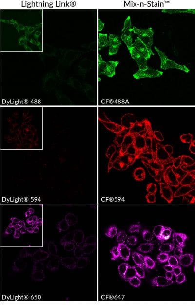 Mix-n-Stain™ Maxi Antibody Labeling Kits, 1 mg Labeling - Image 2