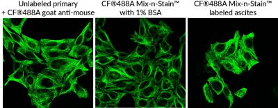 Mix-n-Stain™ Maxi Antibody Labeling Kits, 1 mg Labeling - Image 3