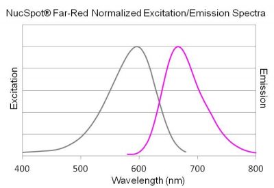 NucSpot® Far-Red, 1000X in DMSO - Image 4