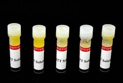 MTT Cell Viability Assay Kit