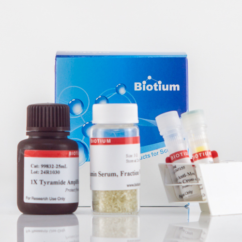 Tyramide Amplification Kit with HRP Goat Anti-Mouse and CF® Dye or Biotin Tyramide