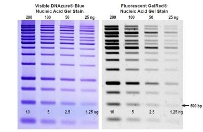 DNAzure® Blue Nucleic Acid Gel Stain, 100X