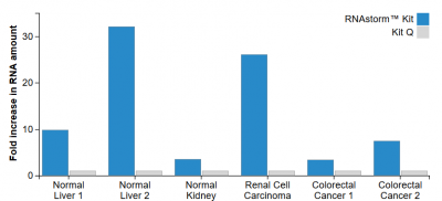 CELLDATA RNAstorm™ 2.0 FFPE RNA Extraction Kit - Image 2