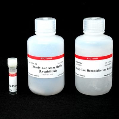 Steady-Luc™ Firefly HTS Assay Kit (Lyophilized)