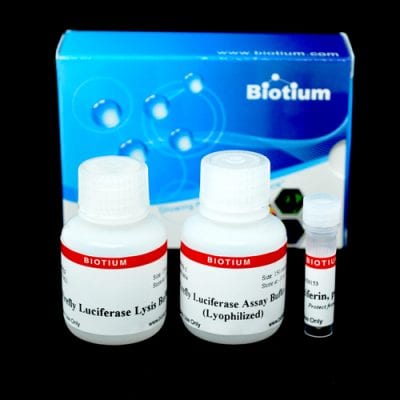 Firefly Luciferase Assay Kit (Lyophilized)