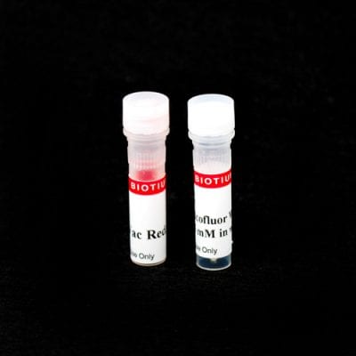 Yeast Vitality Staining Kit