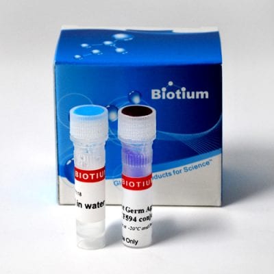 Live Bacterial Gram Stain Kit