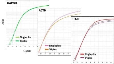 Forget-Me-Not™ Universal Probe qPCR Master Mix