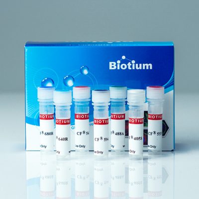 Cholera Toxin Subunit B CF® Dye Conjugates