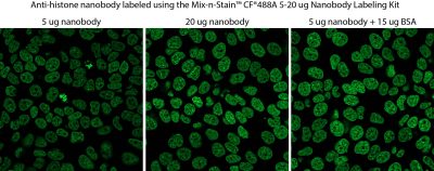 Mix-n-Stain™ Nanobody Labeling Kits - Image 3