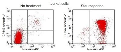 NucView® Caspase-3 Enzyme Substrates - Image 13