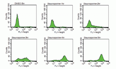 NucView® Caspase-3 Enzyme Substrates - Image 12