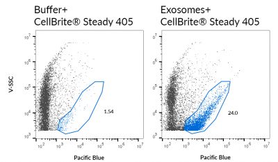 CellBrite® Steady Membrane Staining Kits - Image 13