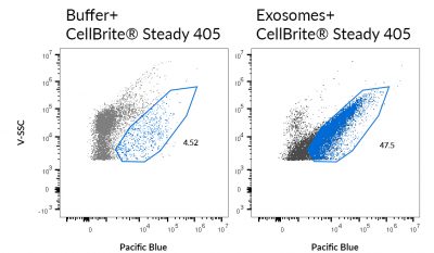 CellBrite® Steady Membrane Staining Kits - Image 8