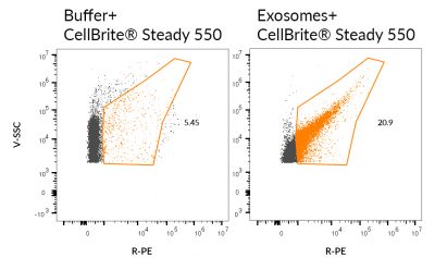 CellBrite® Steady Membrane Staining Kits - Image 10