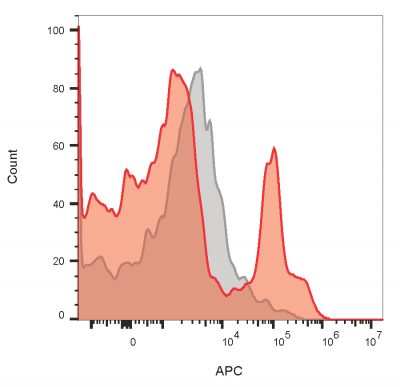 CD19 Monoclonal Mouse Antibody (PDR134)