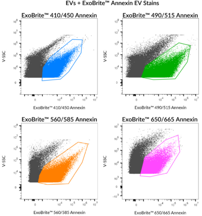 ExoBrite™ Annexin EV Staining Kits - Image 2