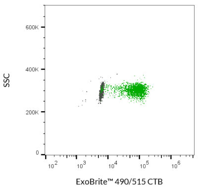 ExoBrite™ CTB EV Staining Kits - Image 9