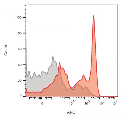 CD4 Monoclonal Mouse Antibody (CD4/1604) - Image 2