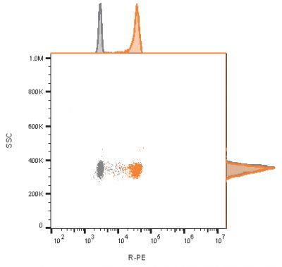 CD9 Monoclonal Mouse Antibody (CD9/1619) - Image 3