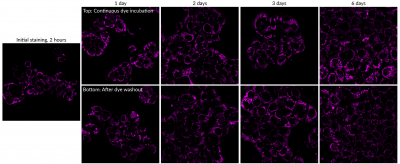 MitoView™ Fix 640 - Image 7