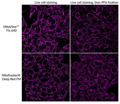 MitoView™ Fix 640 - Image 3