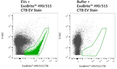 ExoBrite™ CTB EV Staining Kits - Image 6