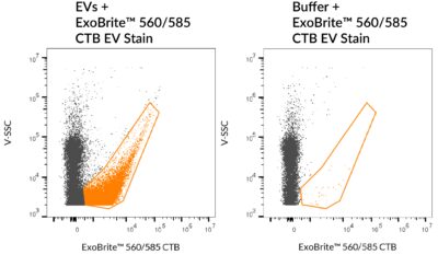 ExoBrite™ CTB EV Staining Kits - Image 7