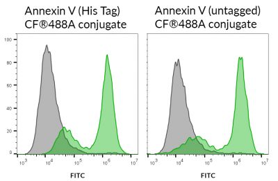 Recombinant Annexin V (Lyophilized) - Image 2