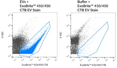 ExoBrite™ CTB EV Staining Kits - Image 5