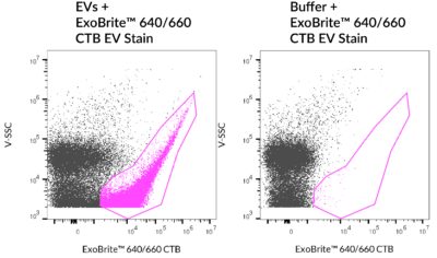 ExoBrite™ CTB EV Staining Kits - Image 8