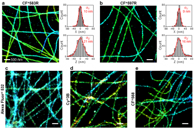 Mix-n-Stain™ STORM CF® Dye Antibody Labeling Kits - Image 3