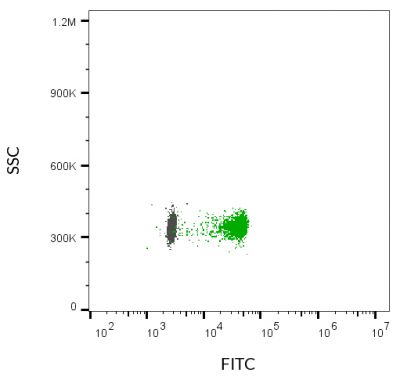 ExoBrite™ CD63 Flow Antibody - Image 7