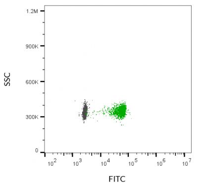 ExoBrite™ CD81 Flow Antibody - Image 4