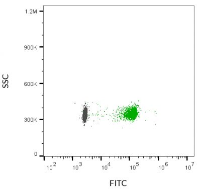 ExoBrite™ CD9 Flow Antibody - Image 10