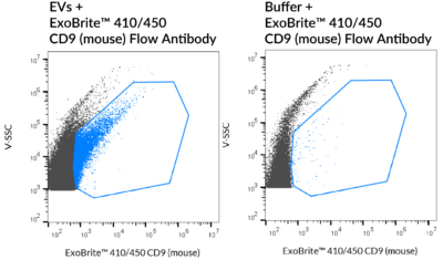 ExoBrite™ CD9 Flow Antibody - Image 2