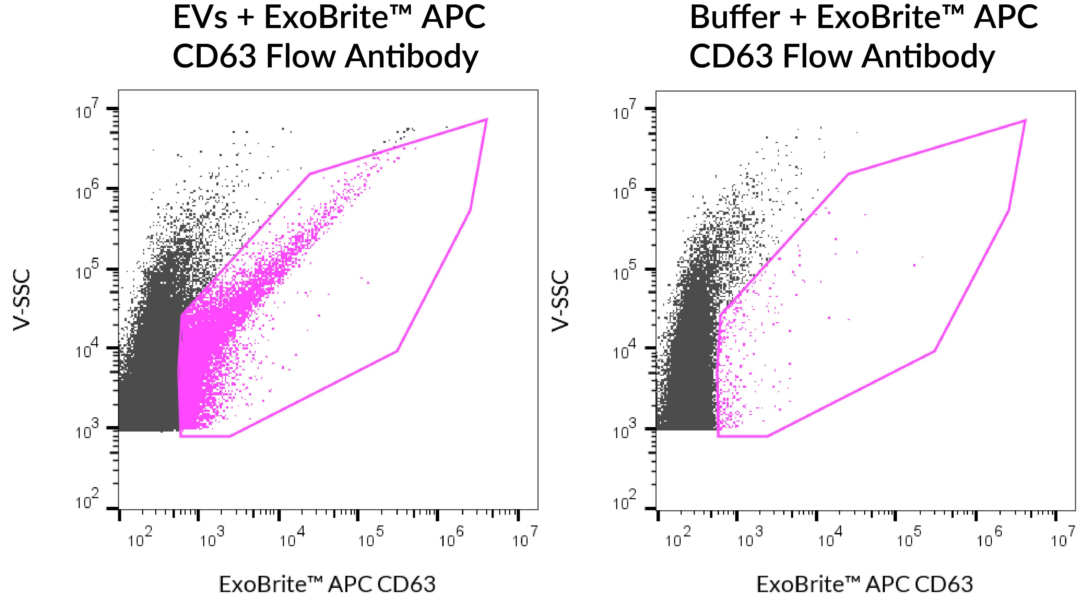 ExoBrite™ CD63 Flow Antibody - Image 7