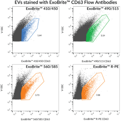 ExoBrite™ CD63 Flow Antibody - Image 5