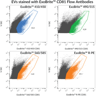 ExoBrite™ CD81 Flow Antibody - Image 2