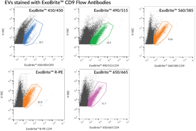 ExoBrite™ CD9 Flow Antibody - Image 7