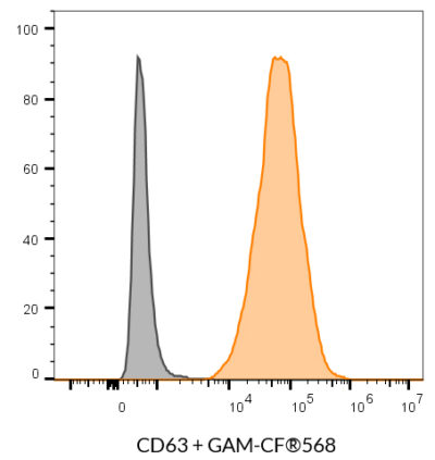 CD63 Monoclonal Mouse Antibody (H5C6) - Biotium Choice <svg class="svgicon svg-verified"><use xlink:href="#svg-verified"></use></svg> - Image 7