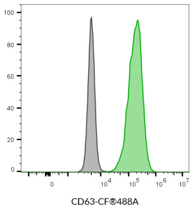 CD63 Monoclonal Mouse Antibody (H5C6) - Biotium Choice <svg class="svgicon svg-verified"><use xlink:href="#svg-verified"></use></svg> - Image 5