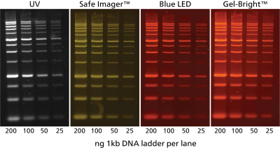 Gel-Bright™ Laser Diode Gel Illuminator - Image 7