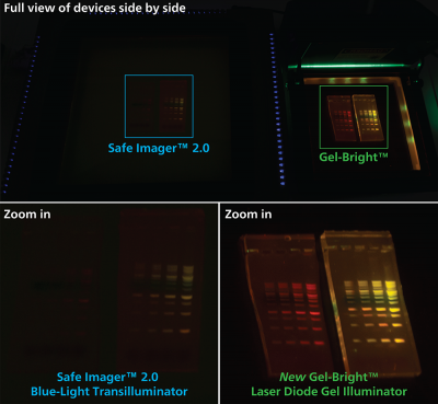 Gel-Bright™ Laser Diode Gel Illuminator - Image 10