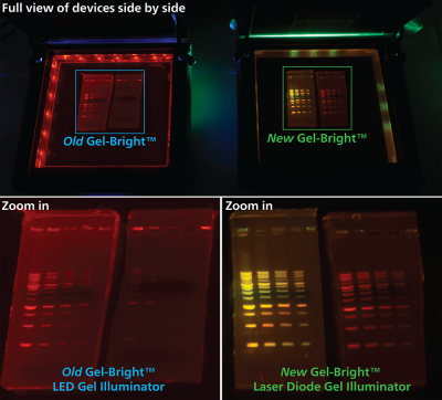 Gel-Bright™ Laser Diode Gel Illuminator - Image 9