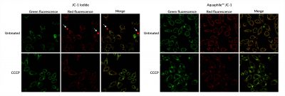 Aquaphile™ JC-1 - Image 3