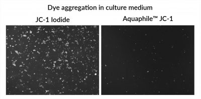 Aquaphile™ JC-1 - Image 4