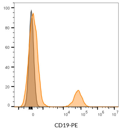 CD19 Monoclonal Mouse Antibody (SJ25C1) - Biotium Choice <svg class="svgicon svg-verified"><use xlink:href="#svg-verified"></use></svg> - Image 4