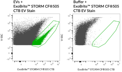 ExoBrite™ STORM CTB EV Staining Kits - Image 2