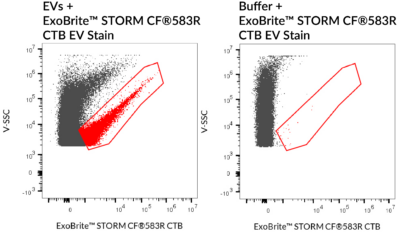 ExoBrite™ STORM CTB EV Staining Kits - Image 3